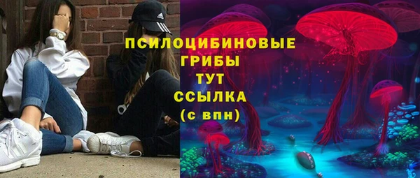 таблы Алексеевка