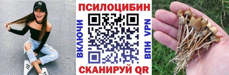 mega tor  Самара  Галлюциногенные грибы Cubensis 
