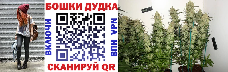 Канабис White Widow как найти Самара